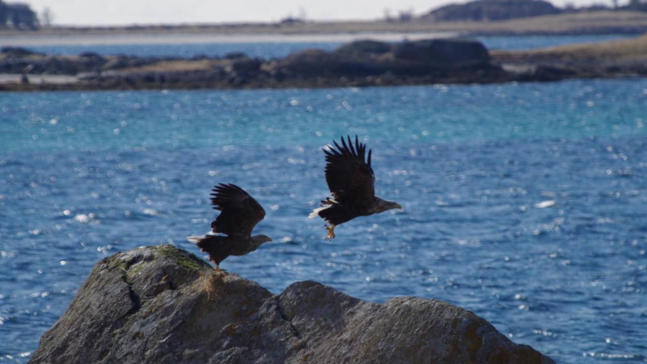 Prima Lofoten Myrland エクステリア 写真